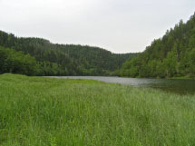 луга