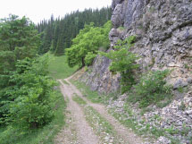 дорога в доль пруда