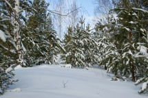 Симский пруд зимой - в лесу на горе Жукова шишка