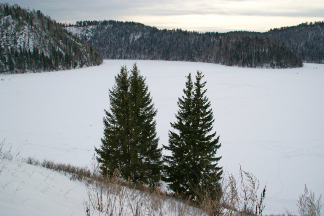 Симский пруд зимой - деревья близнецы